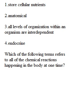 Lecture Quiz 1